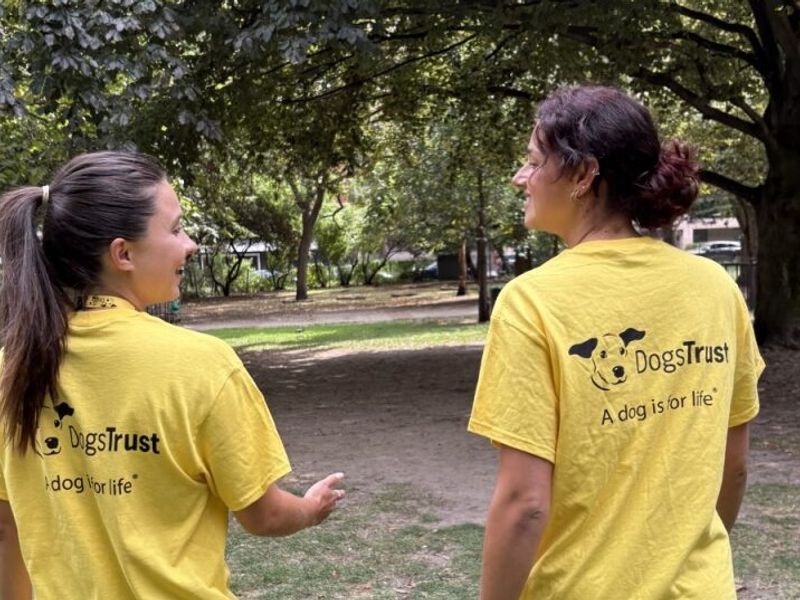 two ladies wearing yellow Dogs Trust tshirts looking at each other walking through a park