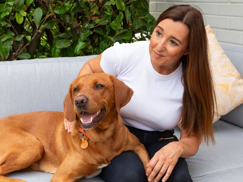 Red labrador retriever sits on some garden furniture next to a woman