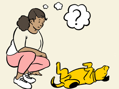 Do you understand what your dog is trying to tell you?