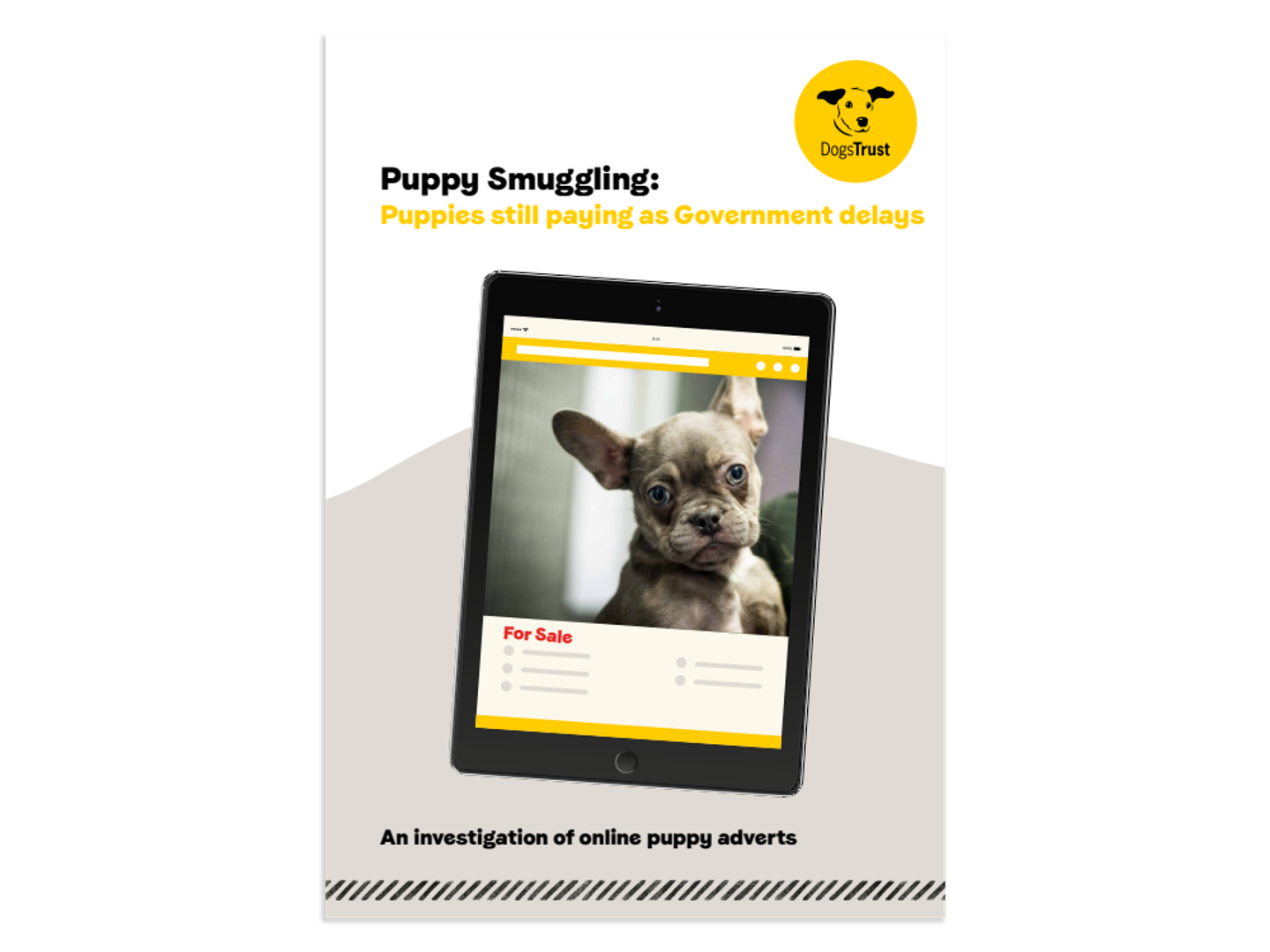 Dogs Trust's puppy smuggling report from 2020